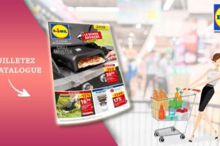 Catalogue Lidl de la semaine Du 30 Mai Au 3 Juin 2024 en ligne