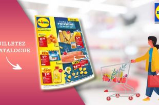 Catalogue Lidl de la semaine Du 3 Au 9 Juillet 2024 en ligne