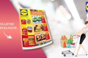 Catalogue Lidl de la semaine Du 12 Au 18 Juin 2024 en ligne