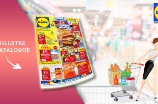 Catalogue Lidl de la semaine Du 26 Juin Au 2 Juillet 2024 en ligne