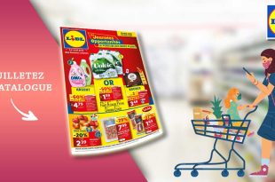 Catalogue Lidl de la semaine Du 24 Au 30 Juillet 2024 en ligne