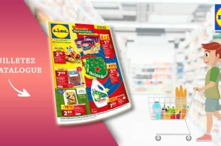 Catalogue Lidl de la semaine Du 31 Juillet Au 6 Août 2024 en ligne
