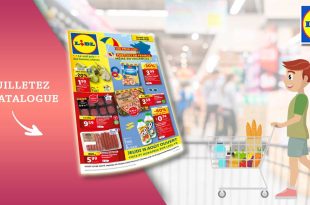 Catalogue Lidl de la semaine Du 14 Au 20 Août 2024 en ligne