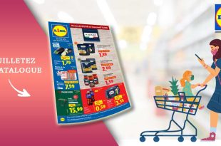 Catalogue Lidl de la semaine Du 7 Au 13 Août 2025 en ligne