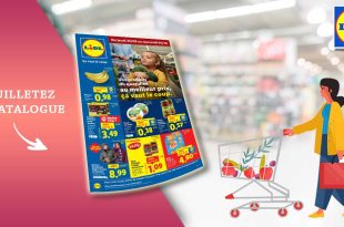 Catalogue Lidl de la semaine Du 25 Septembre Au 1er Octobre 2025 en ligne