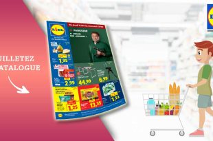 Catalogue Lidl de la semaine du 11 au 17 Septembre 2025 en ligne
