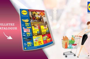 Catalogue Lidl de la semaine Du 23 Au 29 Octobre 2025 en ligne