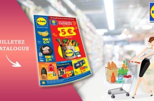Catalogue Lidl de la semaine Du 13 Au 19 Novembre 2025 en ligne