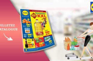 Catalogue Lidl de la semaine Du 3 Au 7 Janvier 2026 en ligne