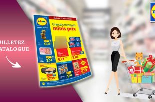 Catalogue Lidl Du 22 Au 28 Janvier 2026 en ligne