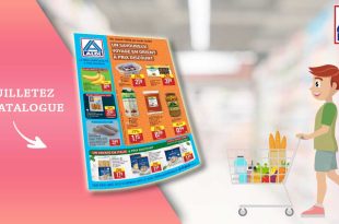 Catalogue Aldi Du 10 Au 16 Février 2026 en ligne