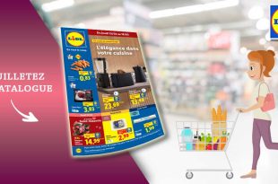 Catalogue Lidl Du 12 Au 18 Février 2026 en ligne