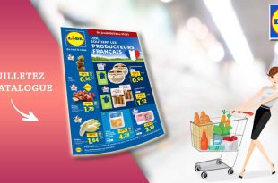 Catalogue Lidl Du 19 Au 25 Février 2026 en ligne