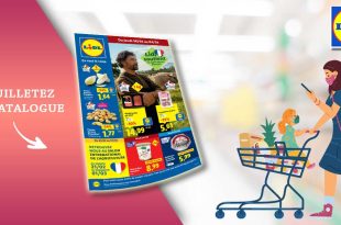Catalogue Lidl Du 26 Février Au 4 Mars 2026 en ligne