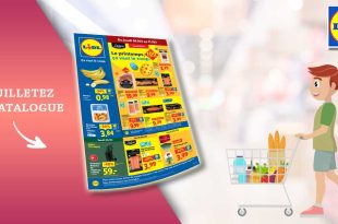 Catalogue Lidl Du 5 Au 11 Mars 2026