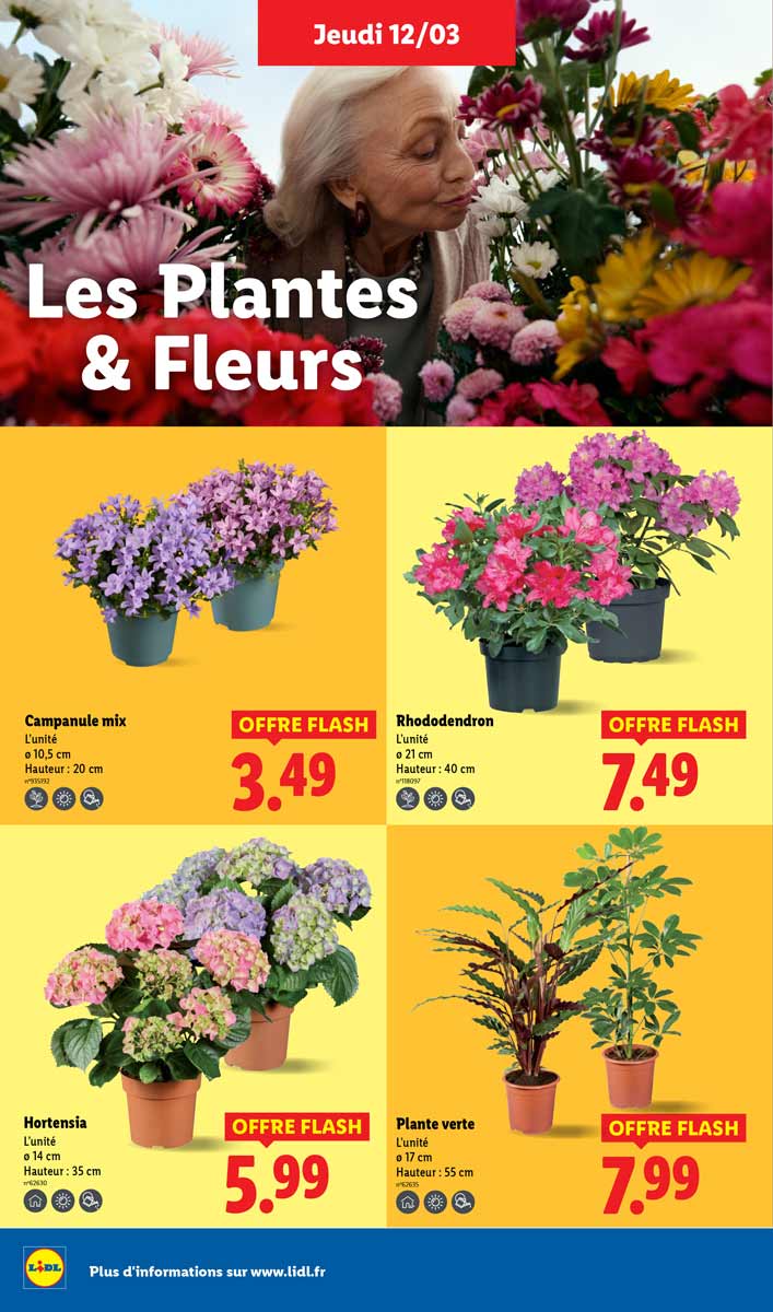 Catalogue Lidl Du 12 Au 18 Mars 2026