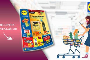 Catalogue Lidl Du 12 Au 18 Mars 2026