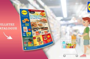Catalogue Lidl Du 19 Au 25 Mars 2026 en ligne