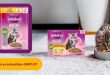 Échantillon gratuit Whiskas chaton : recevez de la nourriture pour chatons