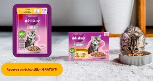 Échantillon gratuit Whiskas chaton : recevez de la nourriture pour chatons