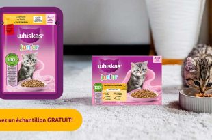 Échantillon gratuit Whiskas chaton : recevez de la nourriture pour chatons