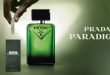 Échantillon gratuit : Découvrez le parfum Prada Paradigme