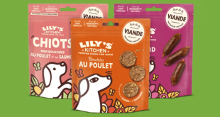 Échantillon gratuit : votre chien va adorer les croquettes Lily’s Kitchen