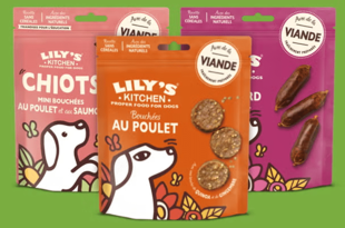 Échantillon gratuit : votre chien va adorer les croquettes Lily’s Kitchen