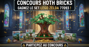 Concours Hoth Bricks : Gagnez le set LEGO Zelda 77093 !