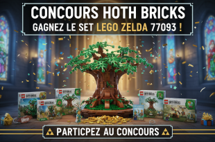 Concours Hoth Bricks : Gagnez le set LEGO Zelda 77093 !