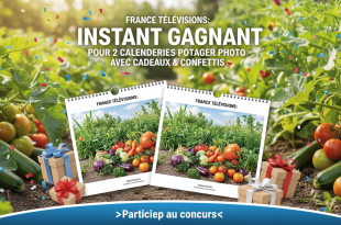 France Télévisions : Instant Gagnant pour 2 calendriers potager