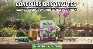 Concours Briconautes : Gagnez engrais orchidées Masso Garden