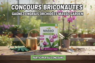 Concours Briconautes : Gagnez engrais orchidées Masso Garden