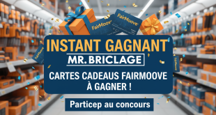 Instant Gagnant Mr. Bricolage : Cartes cadeaux FairMoove à gagner !