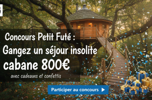 Concours Petit Futé : Gagnez un séjour insolite cabane 800€