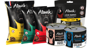 Testez Atavik : votre échantillon gratuit pour chien et chat