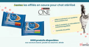 Échantillon gratuit PURINA ONE : Découvrez les sachets fraîcheur