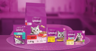 Obtenez votre échantillon gratuit Whiskas pour chat !