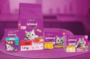 Obtenez votre échantillon gratuit Whiskas pour chat !