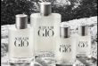 Échantillon gratuit Aqua di Giò : Découvrez l'essence Armani