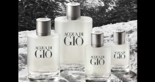 Échantillon gratuit Aqua di Giò : Découvrez l'essence Armani