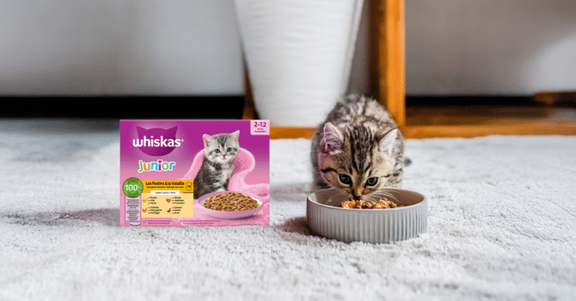 Échantillons gratuits Whiskas : Nourriture pour chatons offerte (2 à 12 mois)